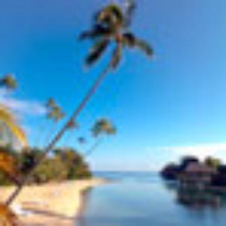 Bar Restorant Tepelena